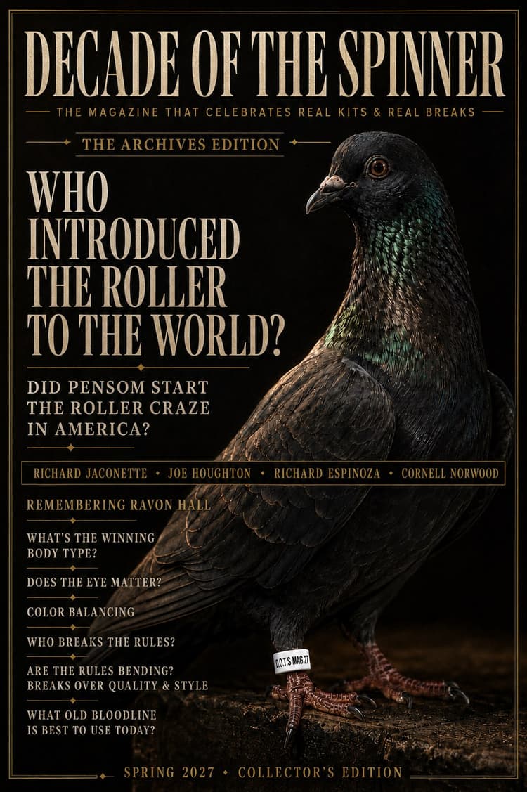Decade of the Spinner cover